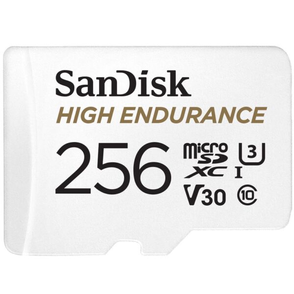 Mälukaart MEMORY MICRO SDXC 256GB UHS-3/SDSQQNR-256G-GN6IA SANDISK