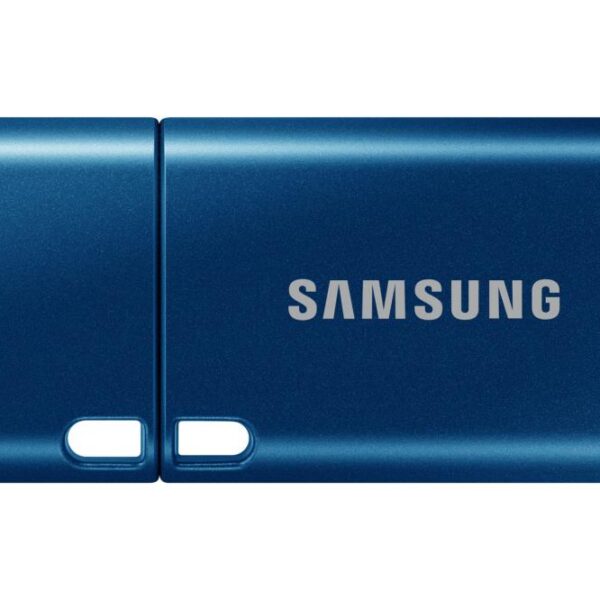 USB mälupulk MEMORY DRIVE FLASH USB3.2 64GB/MUF-64DA/APC SAMSUNG