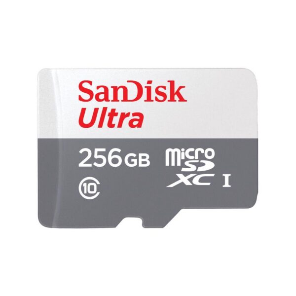 Mälukaart MEMORY MICRO SDXC 256GB UHS-I/SDSQUNR-256G-GN3MN SANDISK