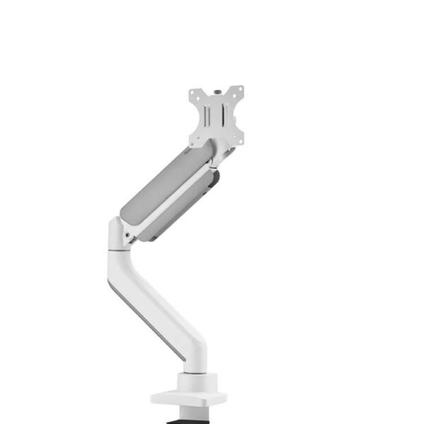 Seinakinnitus MONITOR ACC DESK MOUNT 17-49"/DS70PLUS-450WH1 NEOMOUNTS