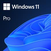 Operatsioonisüsteem Software|MICROSOFT|Win 11 Pro GGK 64Bit Eng Intl 1pk DSP ORT OEI DVD|Win Pro|...