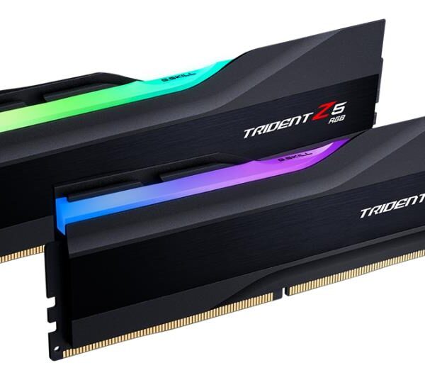 MEMORY DIMM 32GB DDR5-6600/6600J3440G16GX2-TZ5RK G.SKILL
