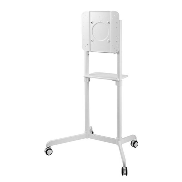 Seinakinnitus TV SET ACC FLOOR STAND/37-70" NS-M1250WHITE NEOMOUNTS