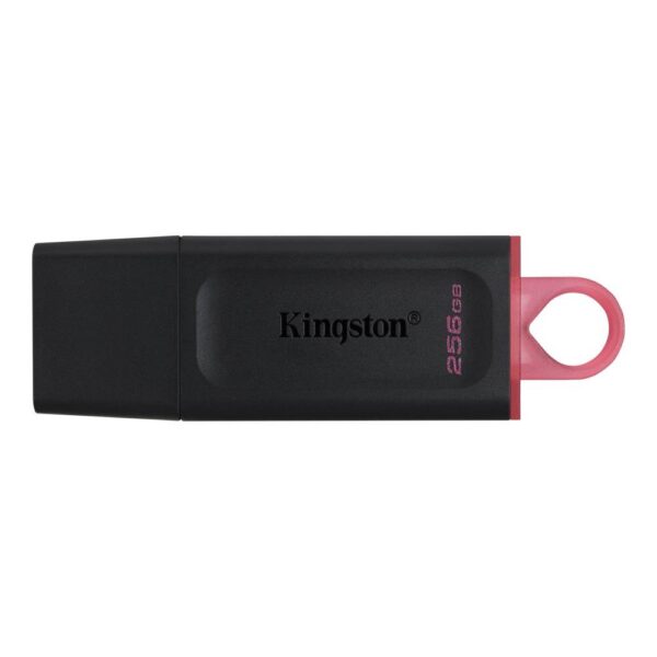 USB mälupulk MEMORY DRIVE FLASH USB3.2/256GB DTX/256GB KINGSTON