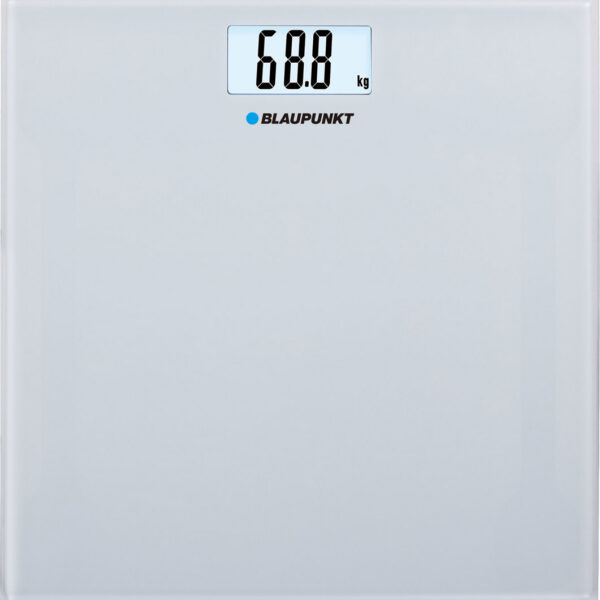 Blaupunkt BSP301