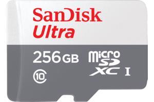 Mälukaart MEMORY MICRO SDXC 256GB UHS-I/SDSQUNR-256G-GN6TA SANDISK