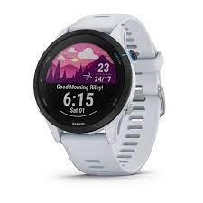 Nutikell SMARTWATCH FORERUNNER 255MUSIC/WHITESTONE 010-02641-31 GARMIN