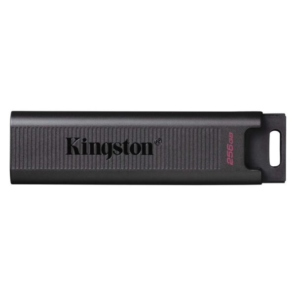 USB mälupulk MEMORY DRIVE FLASH USB3.2/256GB DTMAX/256GB KINGSTON