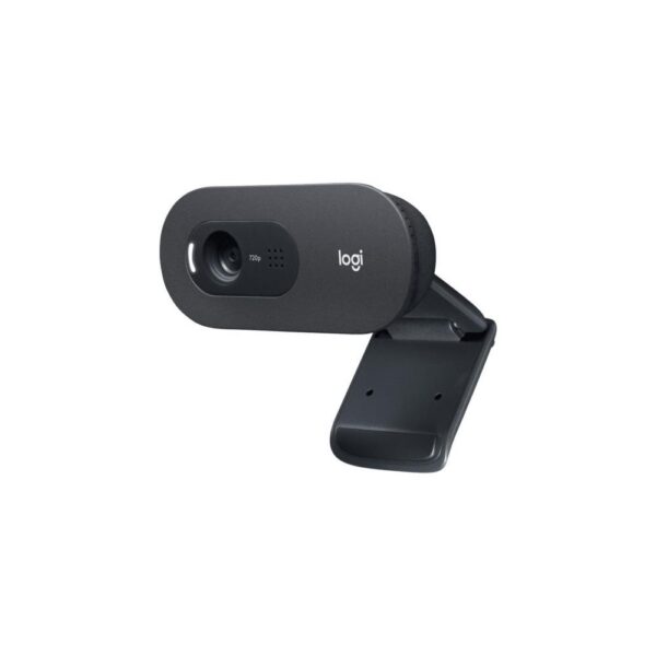 Veebikaamera CAMERA WEBCAM HD C505E/960-001372 LOGITECH