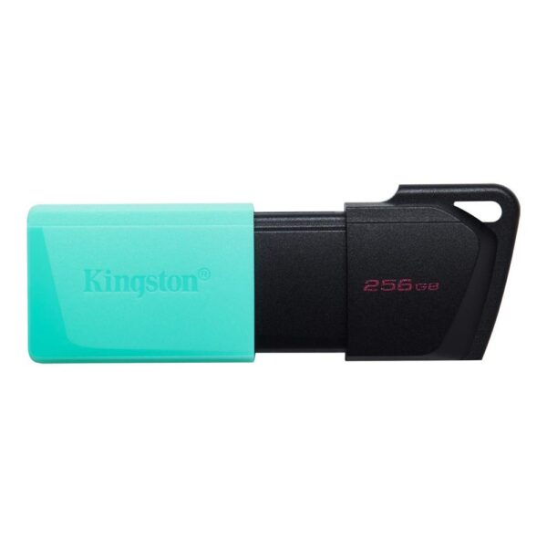 USB mälupulk MEMORY DRIVE FLASH USB3.2/256GB DTXM/256GB KINGSTON