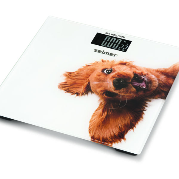 Zelmer ZBS1010 Crazy dog