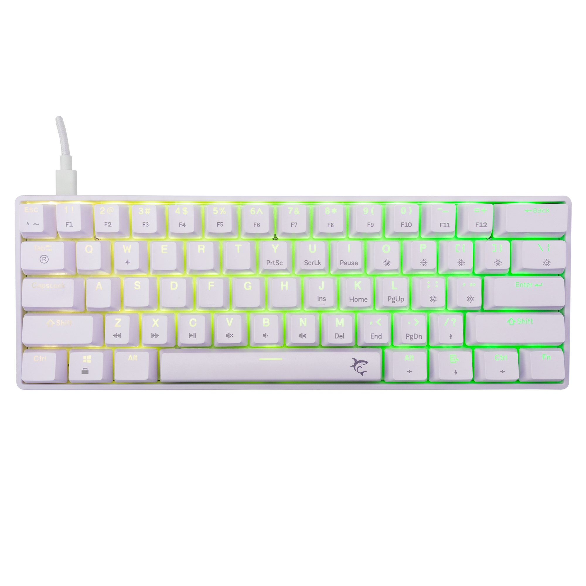 White Shark GK-004231 Shinobi 2 Brown Switch, White US